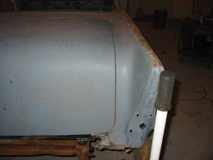 Trunk alignment 2
