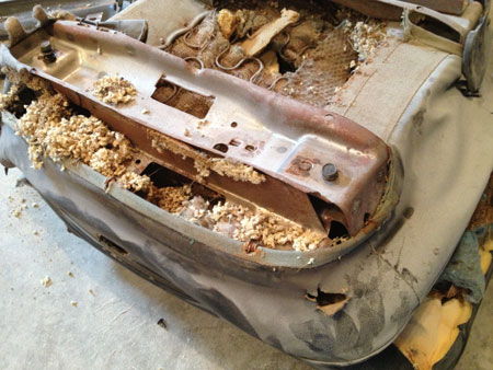 Mouse damage