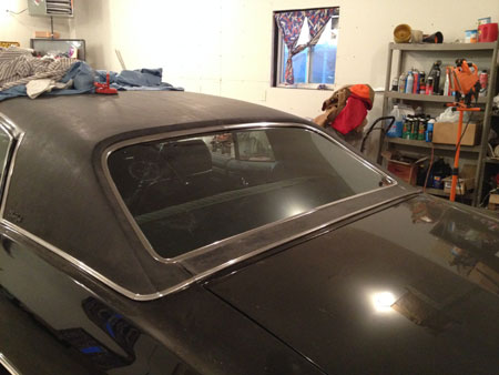 Windshield trim